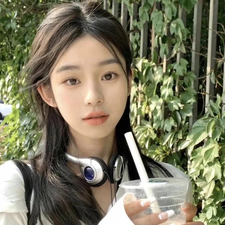 101朵玫瑰