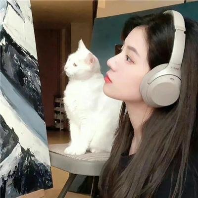 猪头汉堡包